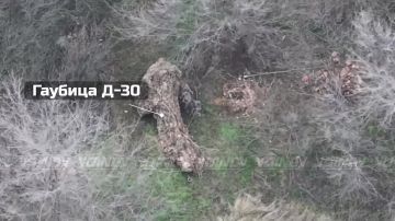 - 305   5   14     ""       -30    