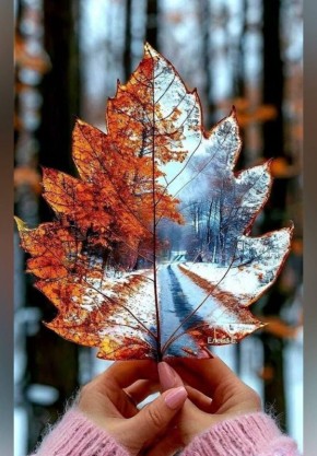 А жить-то зачем? Чтоб в безумии дней Вам встретилась пара хороших людей