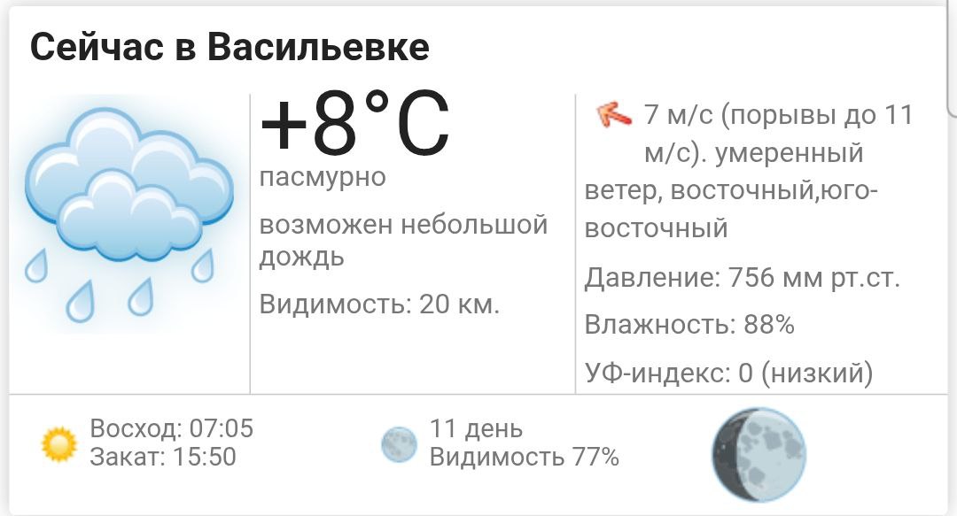Сегодня, 1 декабря 2025 года в Васильевке пасмурно, возможен небольшой дождь