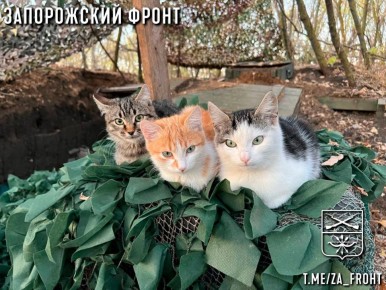 Всем бодрого утра с Запорожского направления