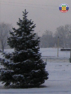 Доброе утро, друзья. Поздравляем с первым днём зимы!