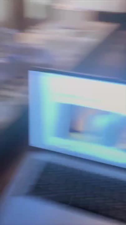 Студент из Самары создал онлайн-сервис по дистанционного кормления котов