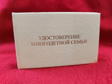 Внимание: ранее выданные справки многодетной семьи и справки ребенка из многодетной семьи считаются действительными только до 31.12.2025 года