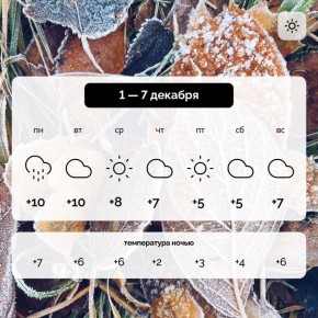 Погода в Запорожской области на 1 — 7 декабря