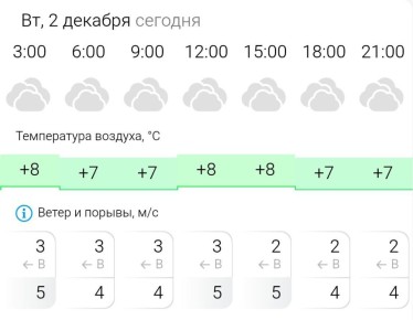 ПРОГНОЗ ПОГОДЫ. Во вторник, 2 декабря в Энергодаре пасмурно