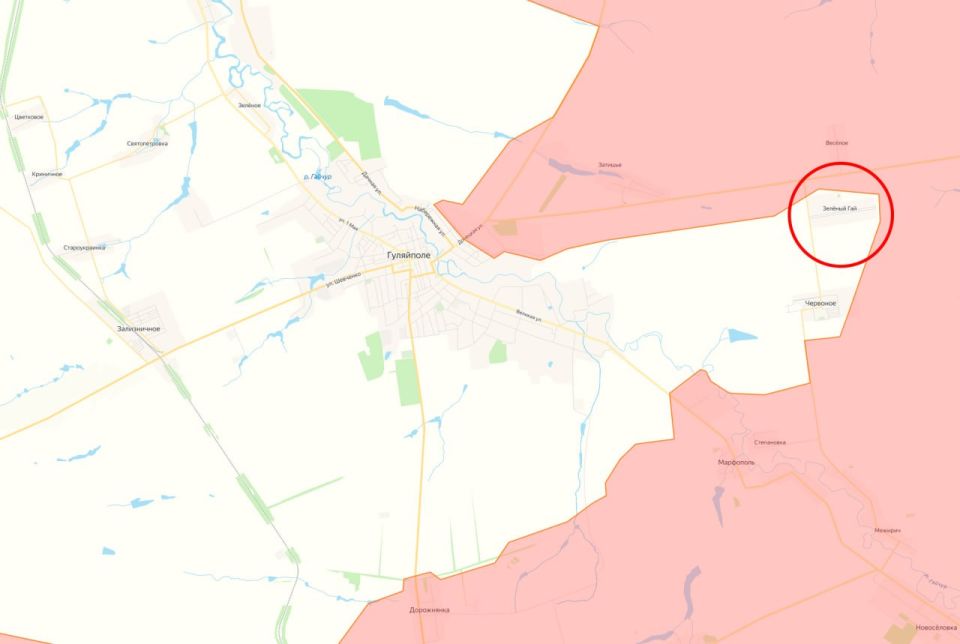 Минобороны России также заявило об освобождении населённого пункта Зелёный Гай на Гуляйпольском направлении в Запорожской области