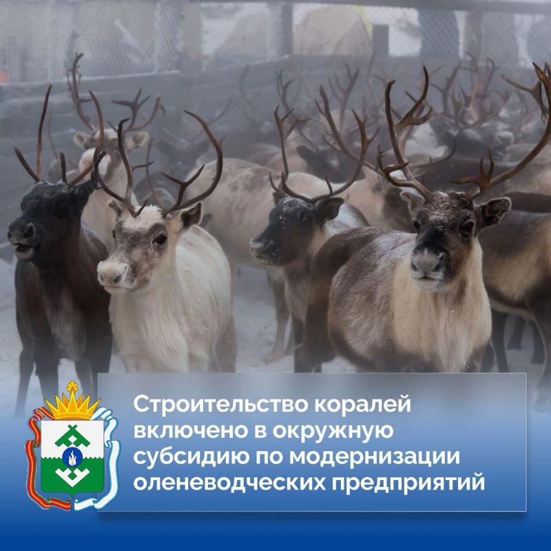 Ирина Гехт: Оленеводы не раз задавали мне вопрос о субсидировании строительства коралей