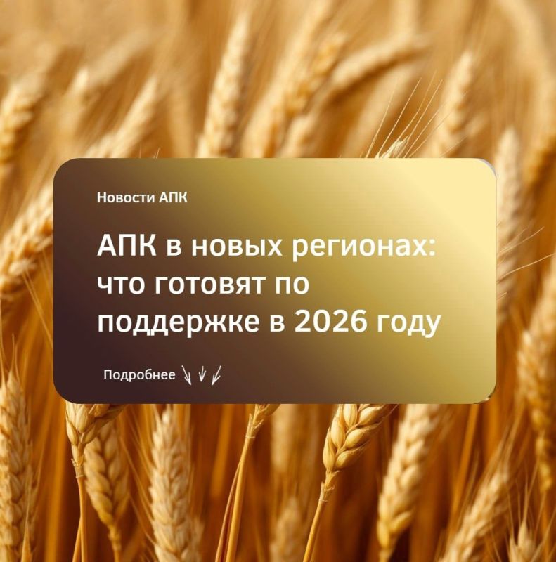 � ������� ������������ ������ �� 2026 ��� ������������ ����� ����������� ���������� ��������� ����������������� ��������� ����� ��������