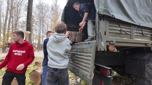 Осенью из парков Крыма на фронт отправили более 75 тонн убранных деревьев