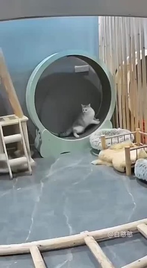 Проснулись — потянулись. Спешим на работу со всех ног