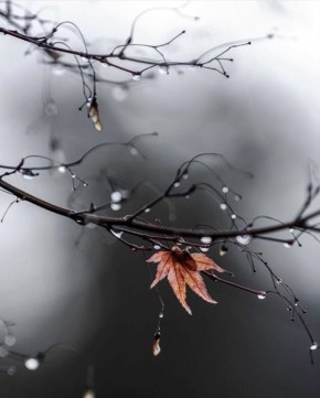 Доброе утро всем!