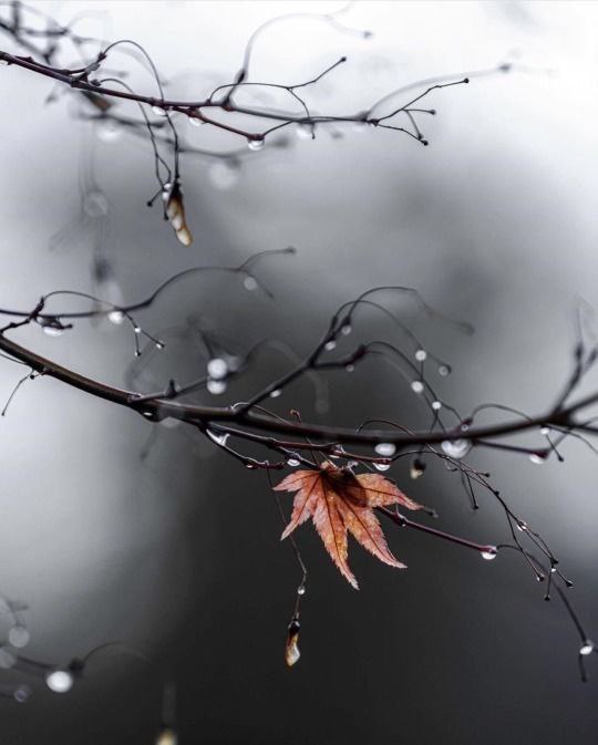 Доброе утро всем!