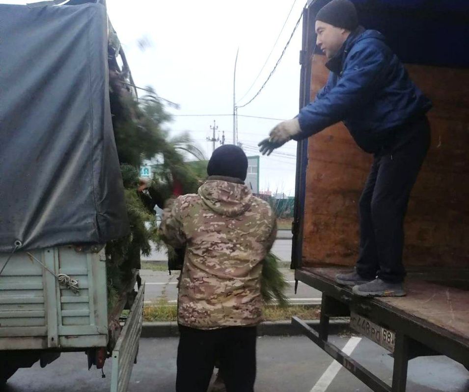 В Токмак из города-побратима в Пензенской области отправили партию елей