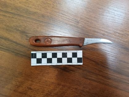 В Бердянске завершено расследование уголовного дела в отношении рецидивиста, обвиняемого в покушении на убийство мужчины