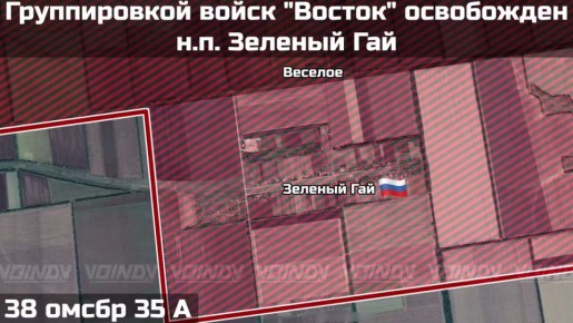 ВС РФ освободили Зеленый Гай в Запорожской области