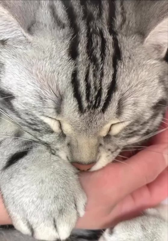 Вечер подкрался незаметно. Заканчиваем со всеми делами, и укладываемся спать