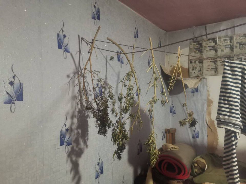 Запорожские полицейские изъяли запрещенные наркотические вещества