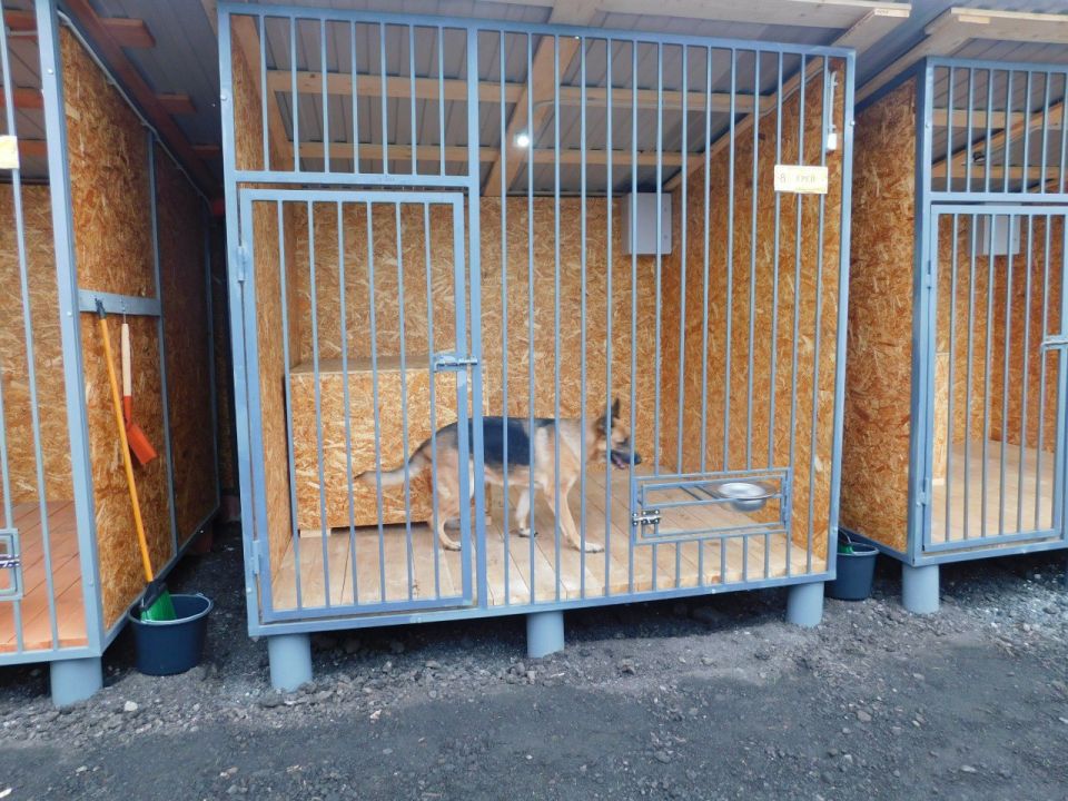 Кинологическая служба ИК-1 УФСИН России по Запорожской области получила современные вольеры