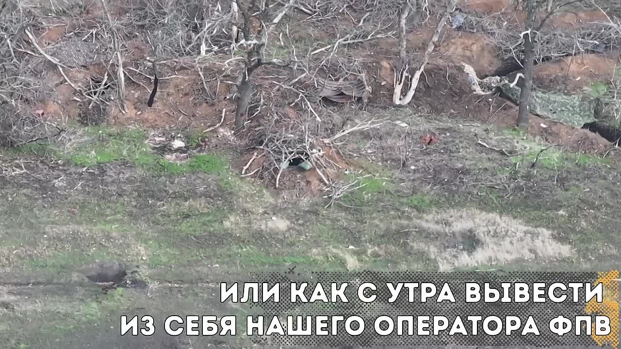 Кадры боевой работы подразделения "ШАМАН" на Запорожском направлении