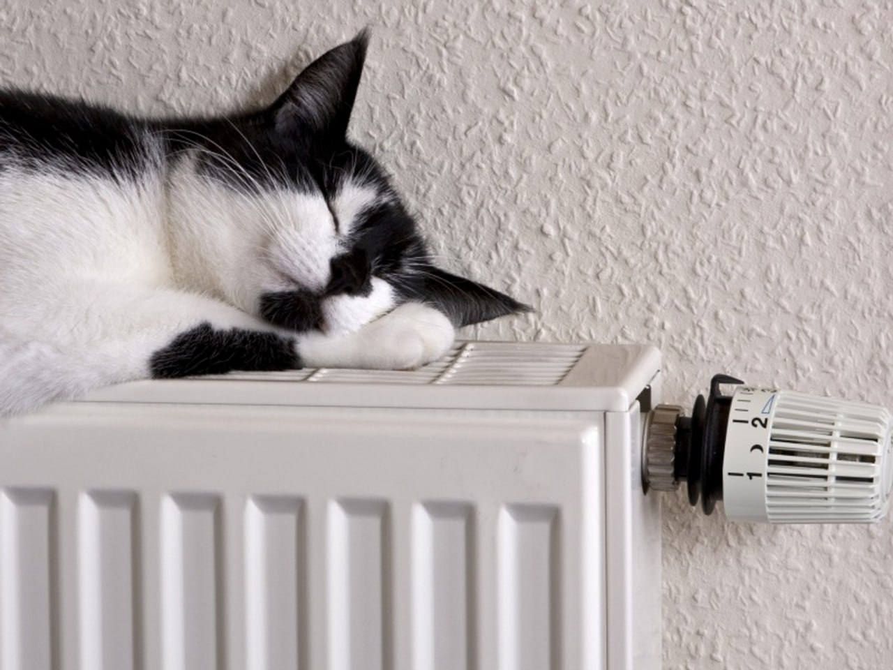 Никаких отключений в Бердянске нет