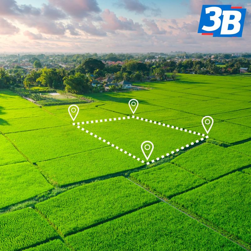 ���� ��������� �������� ����� �������� �������� 703 ��������� �������