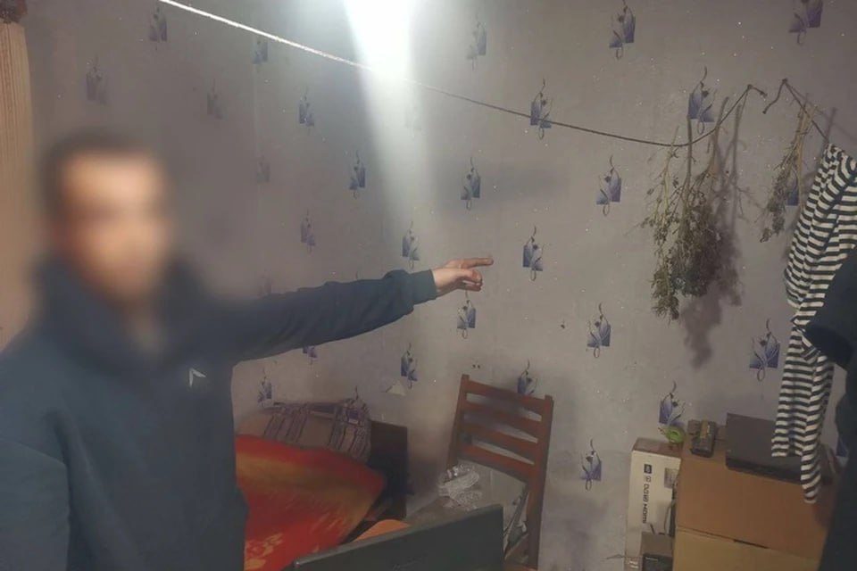 В Токмаке изъяли крупную партию наркосодержащей конопли