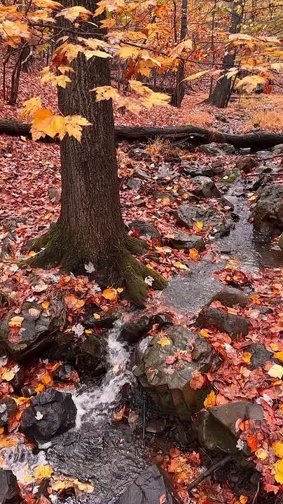 Утро начинается с добра!. Пусть четверг подарит вам лёгкость в делах и ясность в мыслях