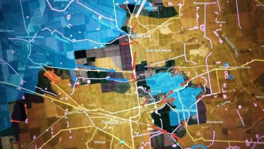   &quot;&quot;        (),      ,    ,   ,     