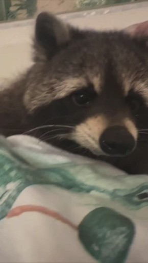 Доброе утро, друзья! Хорошего вам дня и отличного настроения!