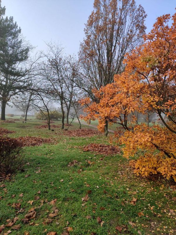 С добрым, весёлым и радостным утром! Желаем чтобы начало этого дня стало для вас особенно удачным и принесло много радостных событий, хороших новостей, приятных сюрпризов, больших успехов