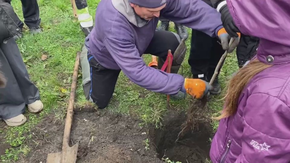 Торжественное открытие Аллеи Единства в честь Дня добровольца в России