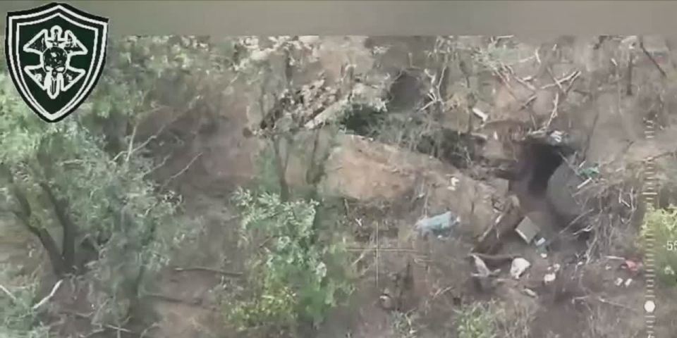 Заградотряд из наемников растреливают двух хохлов которые пытались сдаться в плен