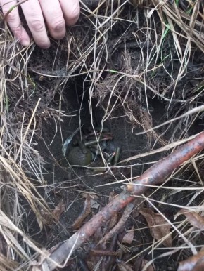 Сотрудники полиции Запорожской области выявили схрон