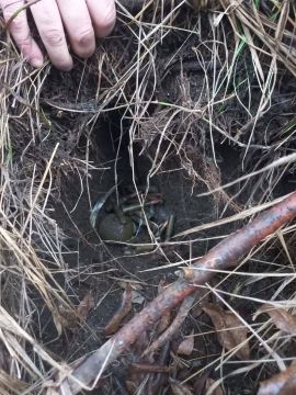 Сотрудники полиции Запорожской области выявили схрон