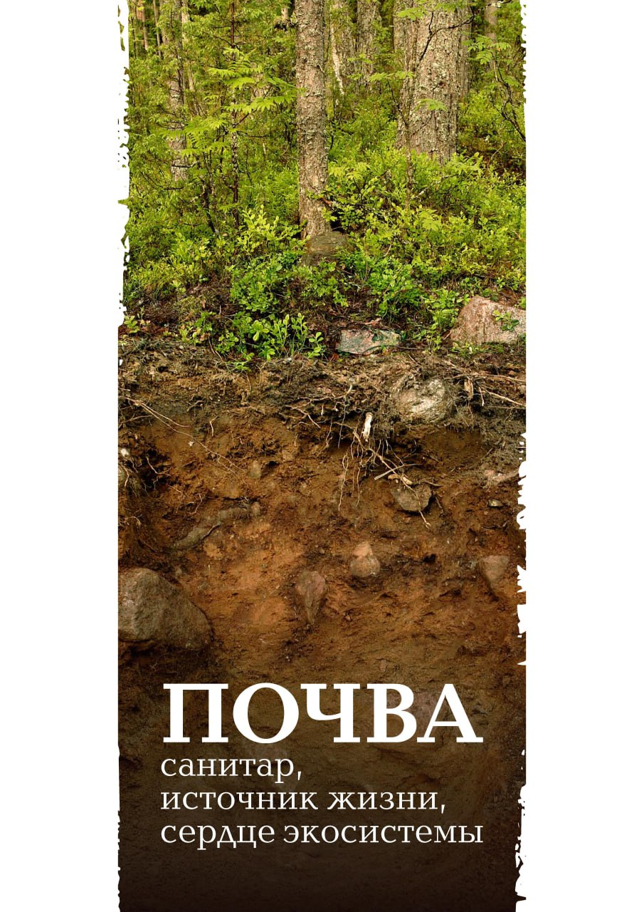 Всемирный день почв – праздник плодородной земли!