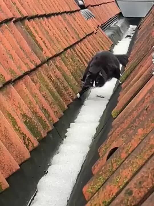 Снова пятница. Аккуратно начинаем новый рабочий день