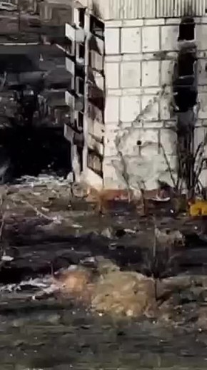  : -   7- -  ()       ,      &quot;&quot;  