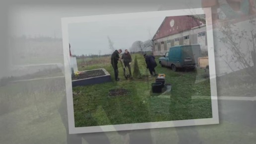 Школьники Тимошевки высадили дагестанские туи