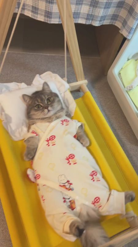 Первый выходной позади. Можно расслабится, и никуда не спешить