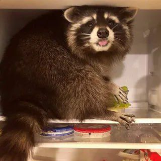 Доброе утро, друзья! Хорошего вам дня и отличного настроения!