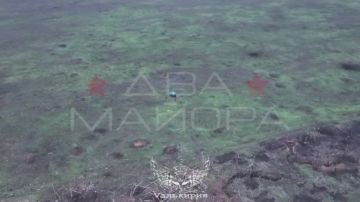 Два майора: Запорожский фронт. Ореховское направление