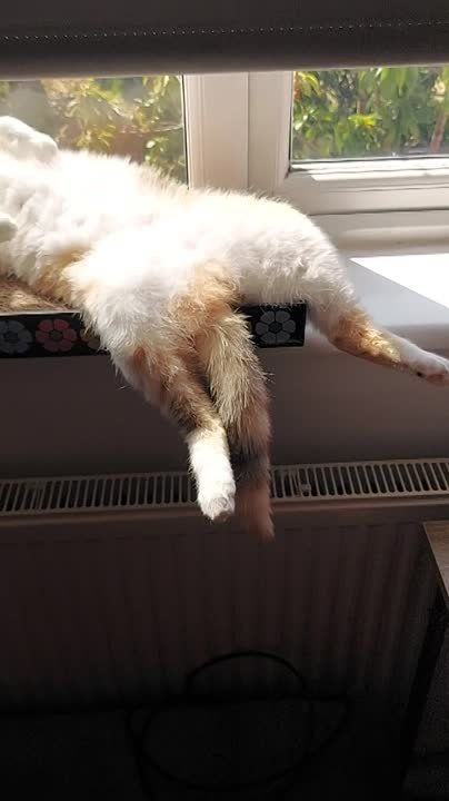 А вот и суббота. Дождались выходных, можно отдыхать