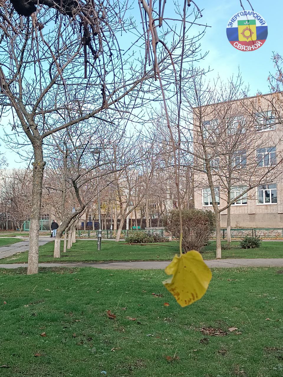 Доброе утро, друзья. Пусть субботнее утро встретит вас негой и заботой, подарит неторопливое течение времени