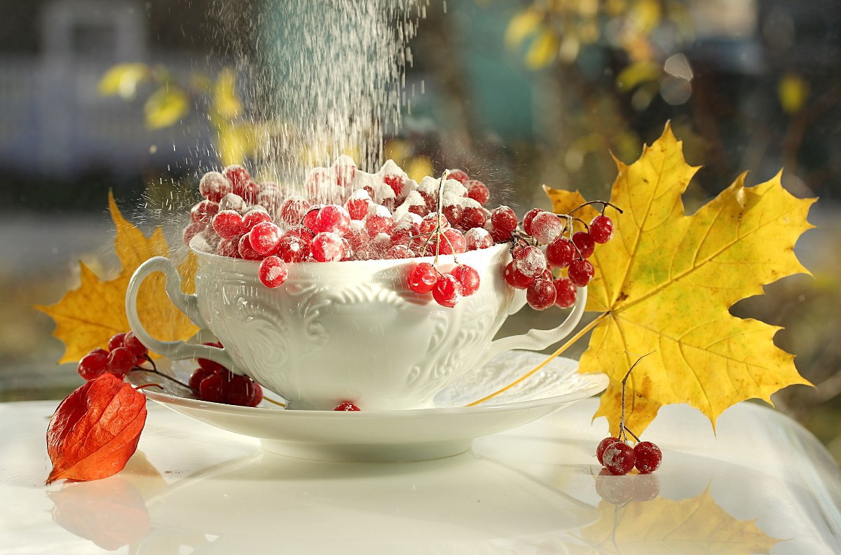 Доброе утро. А вы знали, что сегодня