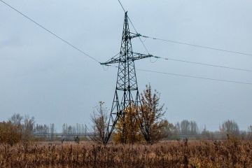 Губернатор Запорожской области Балицкий: Причиной проблем со светом стала погода