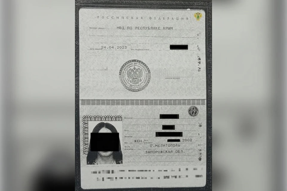 Жительницу Мелитополя оштрафовали за публичные оскорбления Русской нации