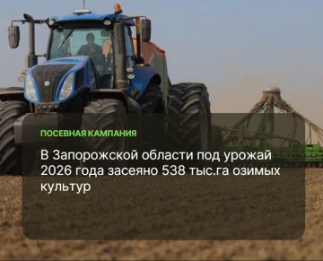 В Запорожской области завершаются осенние работы по севу озимых культур