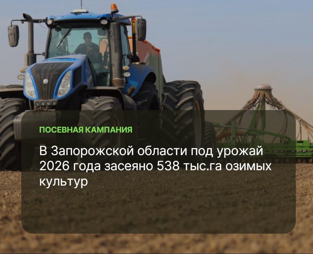 В Запорожской области завершаются осенние работы по севу озимых культур