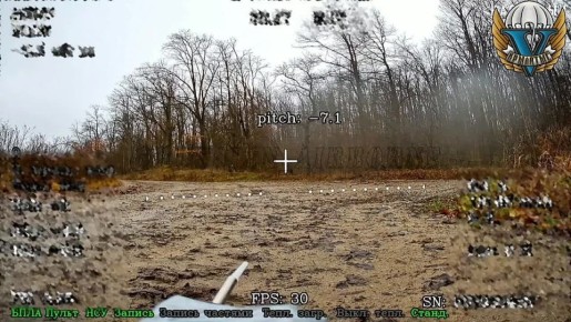  &quot;&quot;       ,   