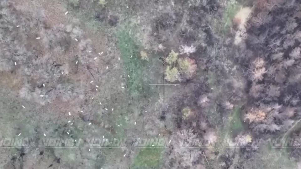 ���������-������������ 305 ������� ������� ������������ ������������ ������� ���������� � ������ ��������� ����������� ������������ ���������� ��������